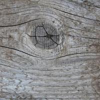 Photo Textures of Wood